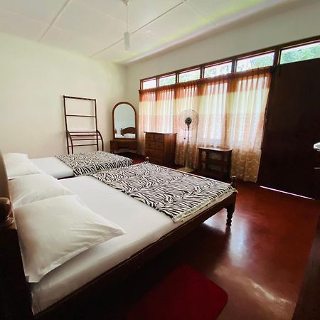 Palm Grove Bandarawela Bed & Breakfast Ngoại thất bức ảnh